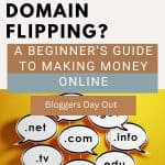 domain flipping